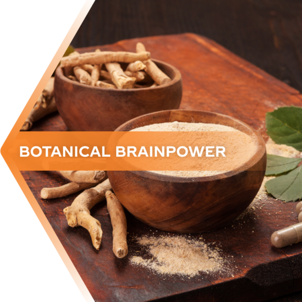Adapt Align - Adaptogen Supplement for Mental Energy and Focus ...